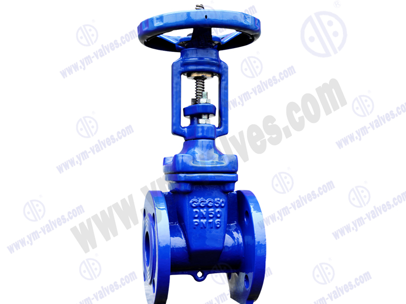 soft seal gate valve