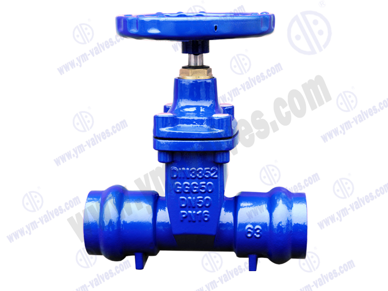 Socket weld gate valve