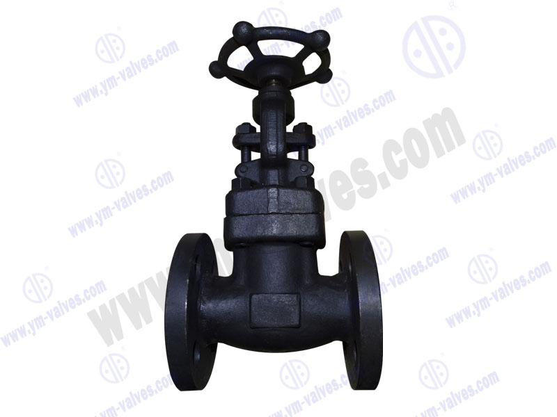 flange globe valve