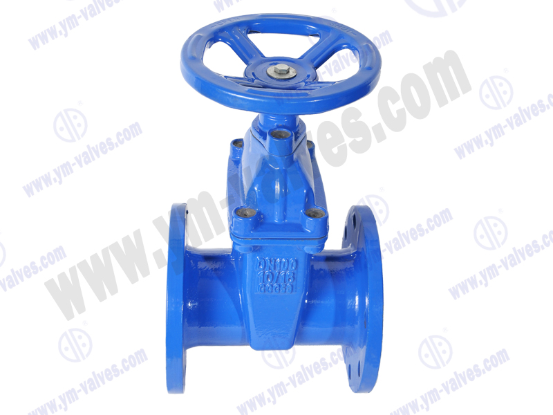 Soft Seal Gate Valve