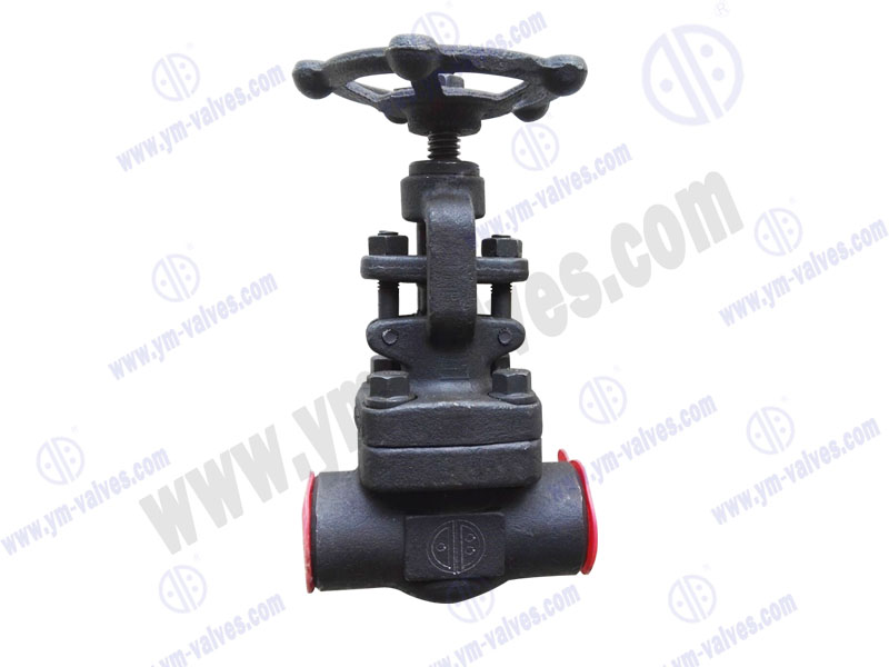 Forged steel welding globe valve