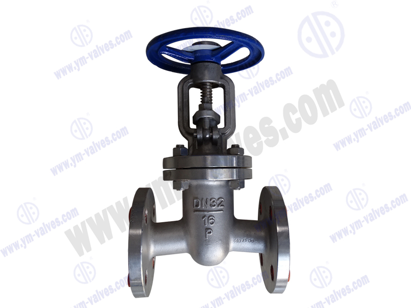 stainless steel Gate Valve