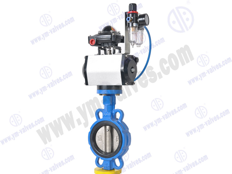 butterfly-valve