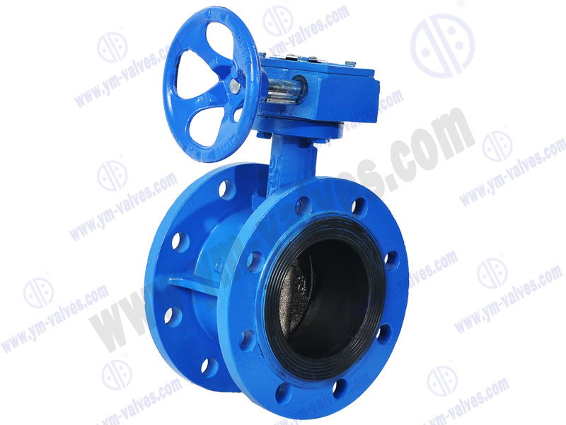 Worm Gear Operated Flange Butterfly Valve