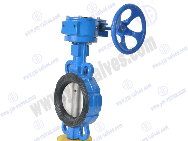 worm gear butterfly valve