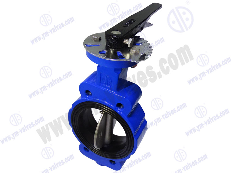 3 inch lug Ductile iron soft seal Center line Butterfly Valves