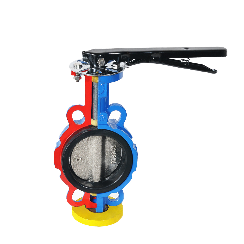 Internal View of Wafer Butterfly Valve