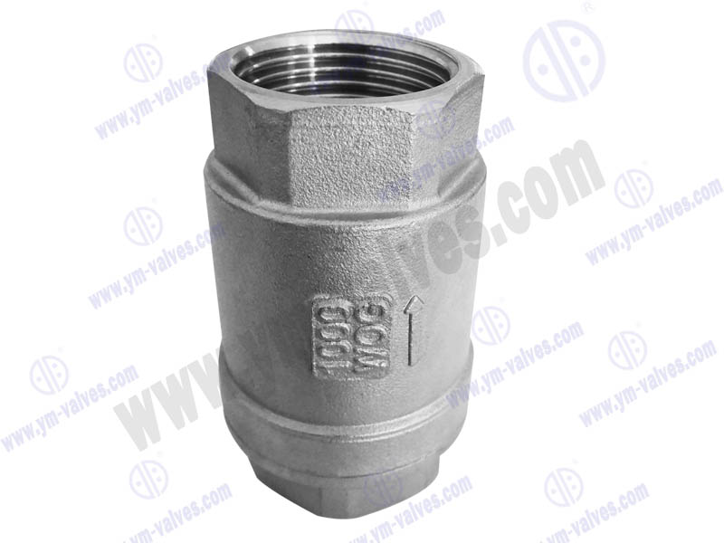 BSP check valve