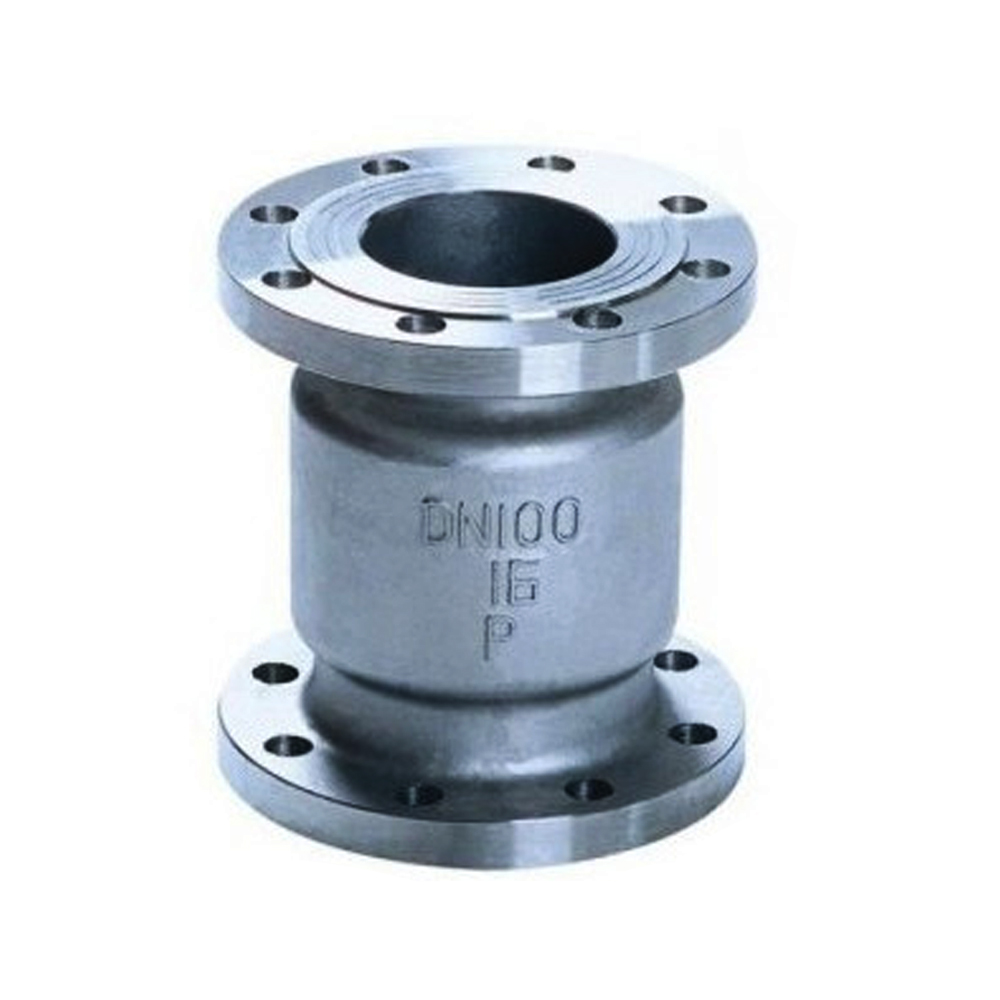 stainless steel vertical check valve