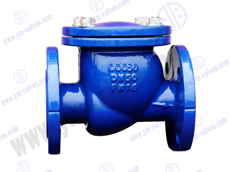 swing check valve