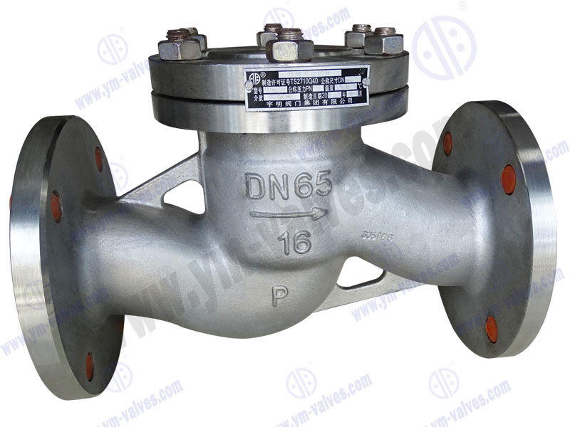 lift type check valve