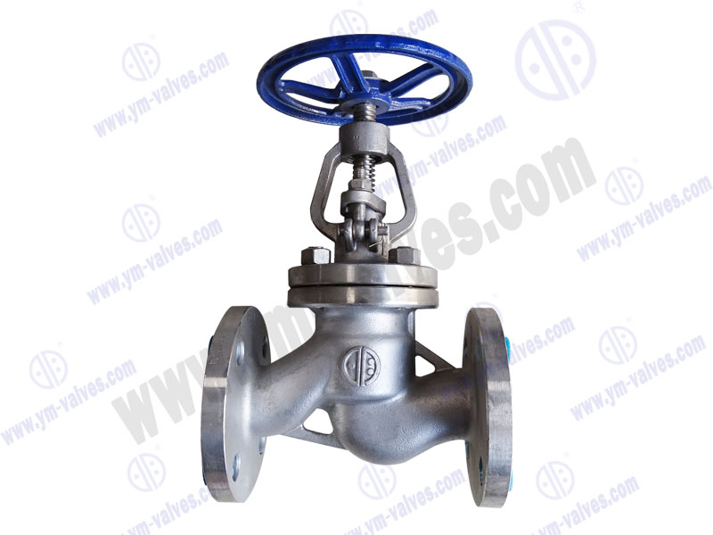 stainless steel globe valve