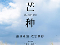 【grain-in-ear】-summer-begins-to-grow-with-the-arrival-of-grain-in-ear
