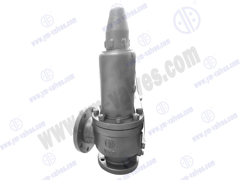 standard safety valve