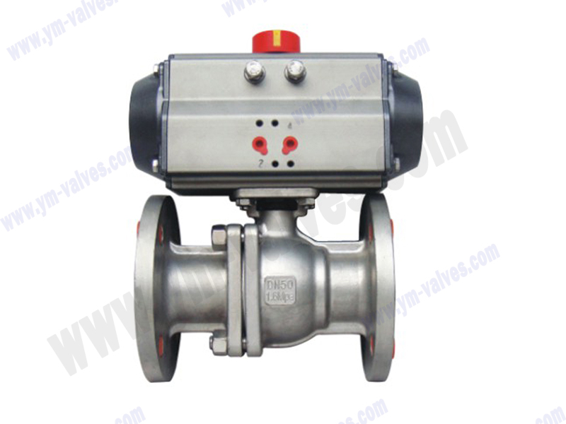 Pneumatic