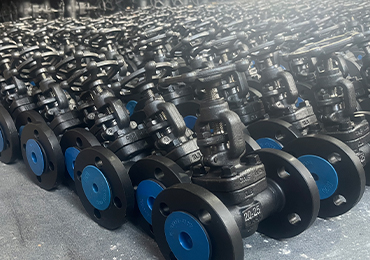 Differences between Forged Steel Valves and Cast Steel Valves