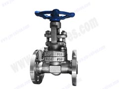 API 602 Forged Steel Flange Gate Valve F304