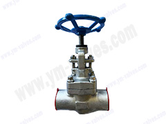 F304/F316 forged steel socket welding stop valve