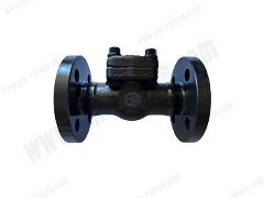 Forged Steel A105 Flange Check Valve