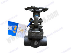 Rising stem forged steel gate valve